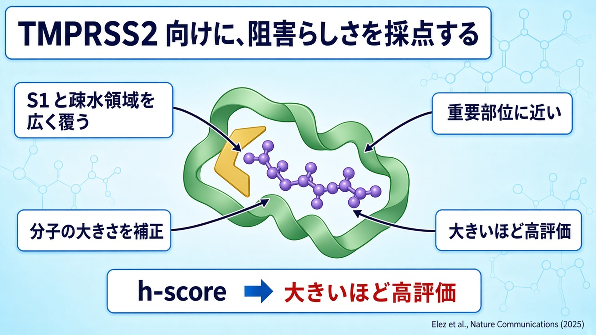 動画スライド11：静的h-score